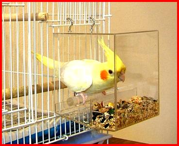 Tidy Seed Feeder